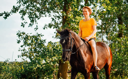 Horseback riding at Viking Resort